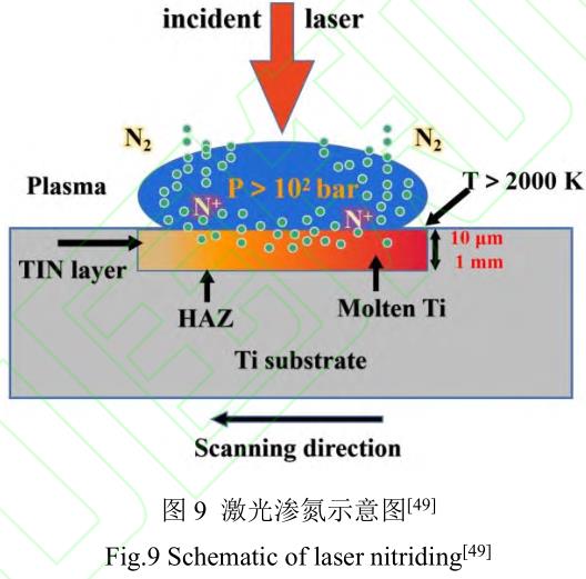 鈦合金鍛件棒材的滲氮工藝及機理研究進展 鈦合金鍛件棒材的滲氮工藝及機理研究進展