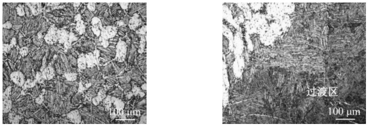 1712874392292174.jpg 3-1.jpg