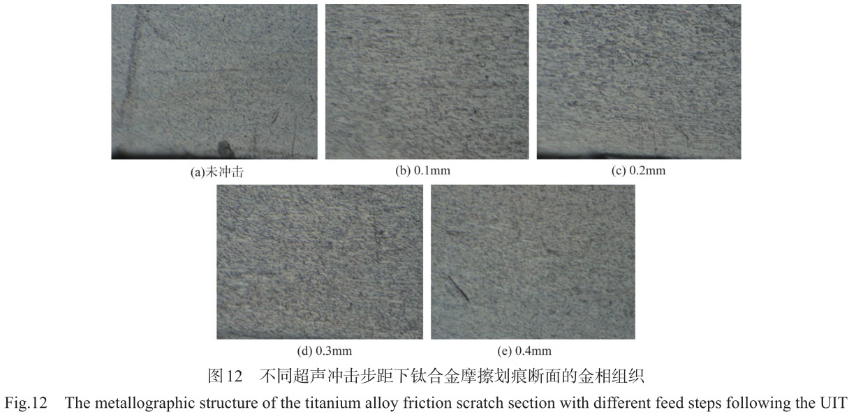 1708310254901621.jpg t12.jpg