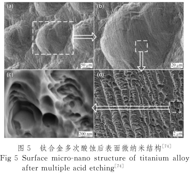 1720340150871865.jpg 360截圖16270827437680.jpg
