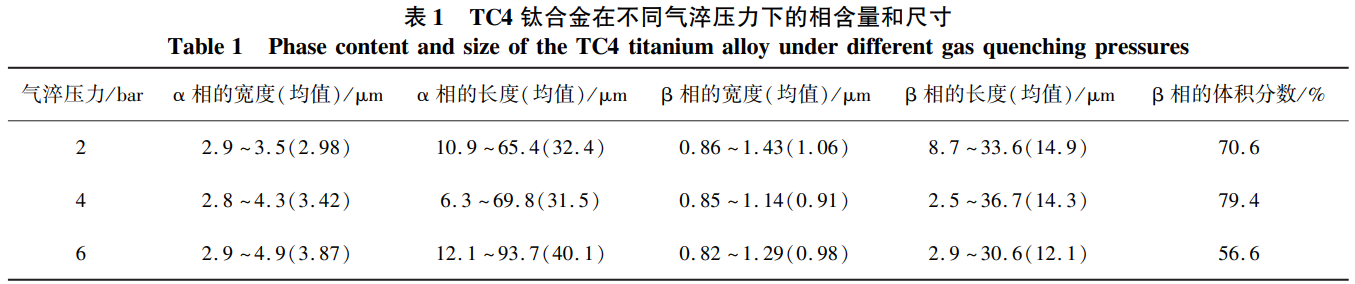 1734145992927698.png b1.png